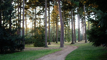 Hébergements sur la commune