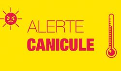 ALERTE CANICULE – NIVEAU 3