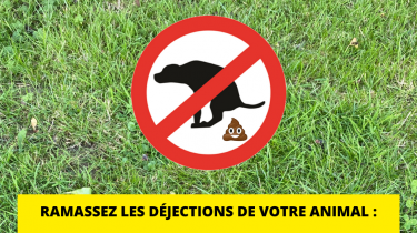 Stop aux déjections canines !