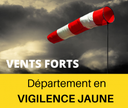 PREF49 – Vigilance jaune vents forts