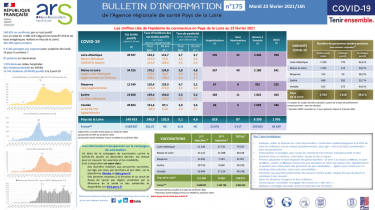 COVID19 – Bulletin d’information n°175