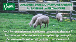 Lancement d’un éco-pâturage partagé !