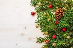 APEL – Commander votre sapin !