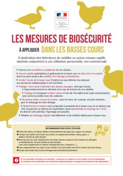 Influenza aviaire – Diffusion du virus en Maine-et-Loire