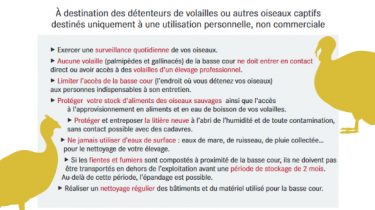 Influenza aviaire – Diffusion du virus en Maine-et-Loire