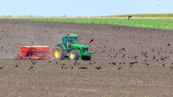 Utilisation de dispositifs effaroucheurs d’oiseaux