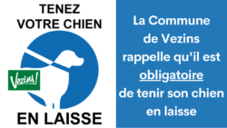 Tenez votre chien en laisse