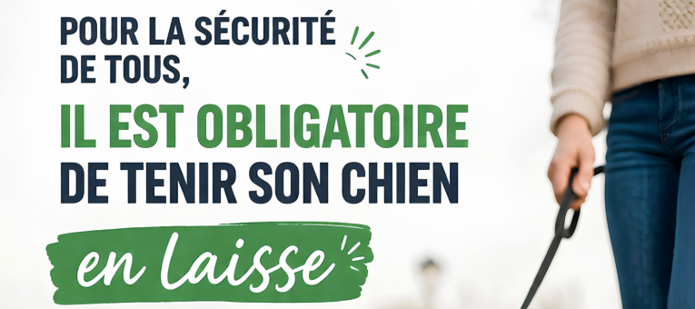 Obligation chiens tenus en laisse